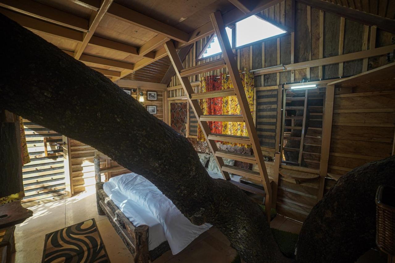 צ'קרטה Tiger Fall Eco Resort מראה חיצוני תמונה